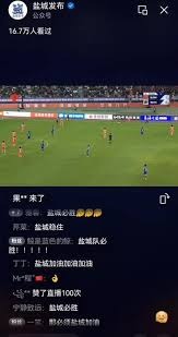 足彩任九积分榜分析：争冠与保级对竞猜的深远影响